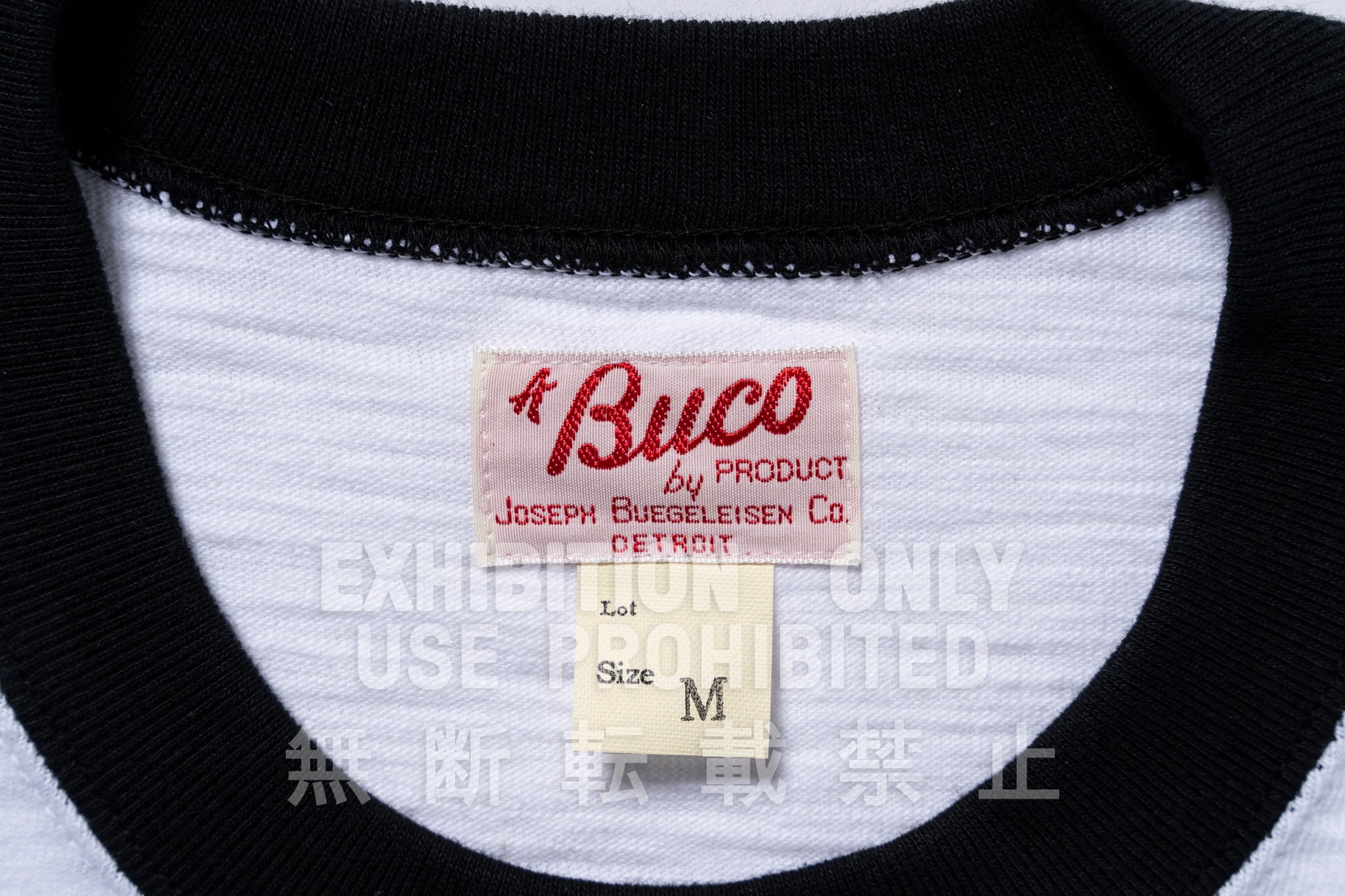 BUCO STRIPED SLEEVE TEE / FLYING WHEEL