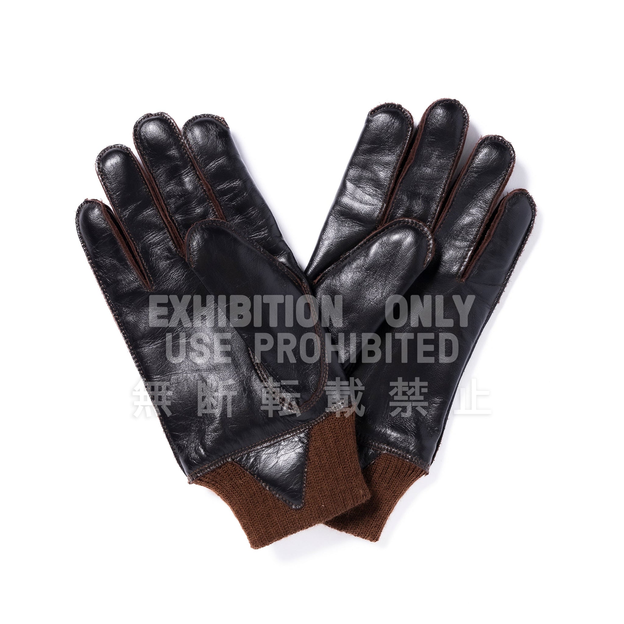 TYPE A-10 GLOVE, FLYING WINTER