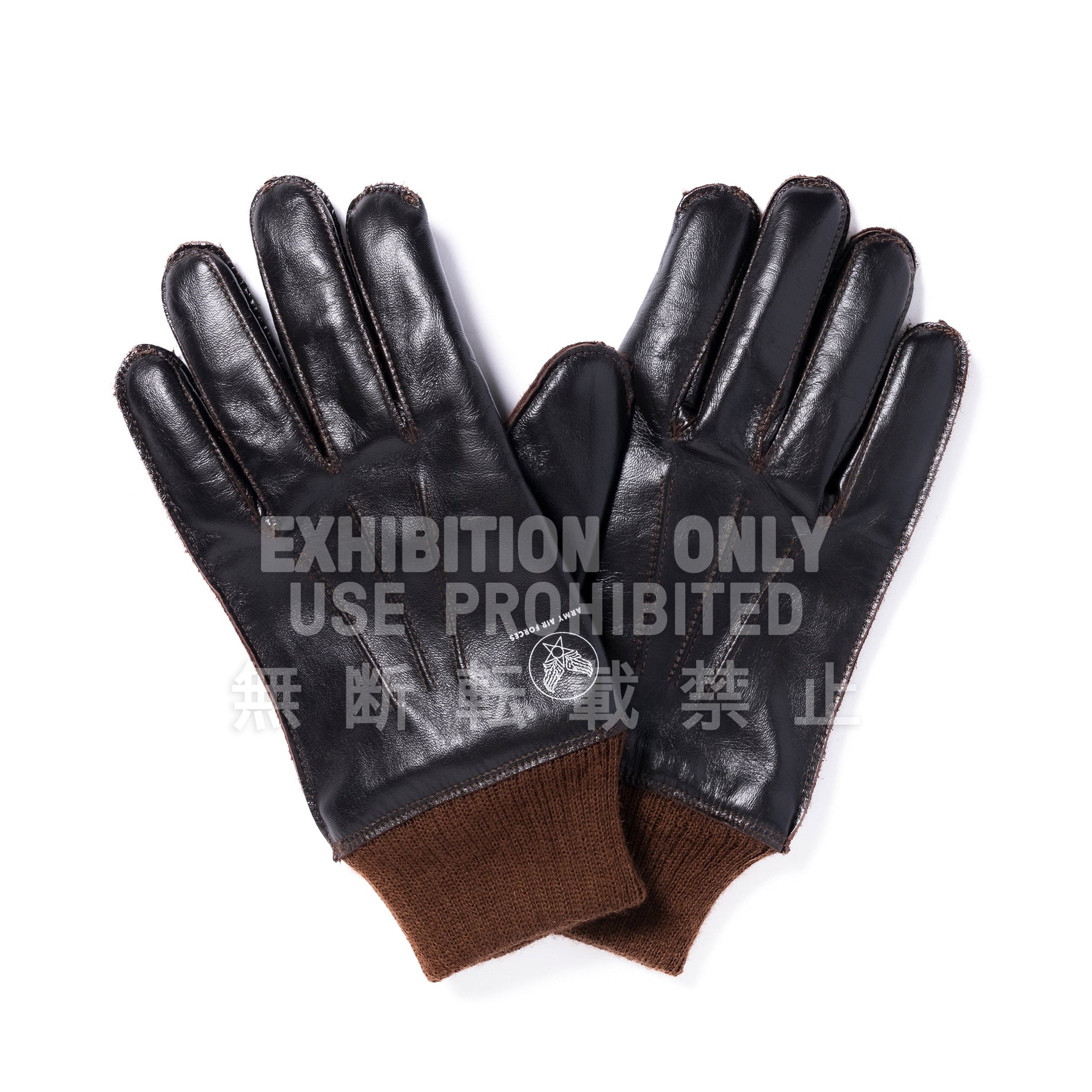 TYPE A-10 GLOVE, FLYING WINTER