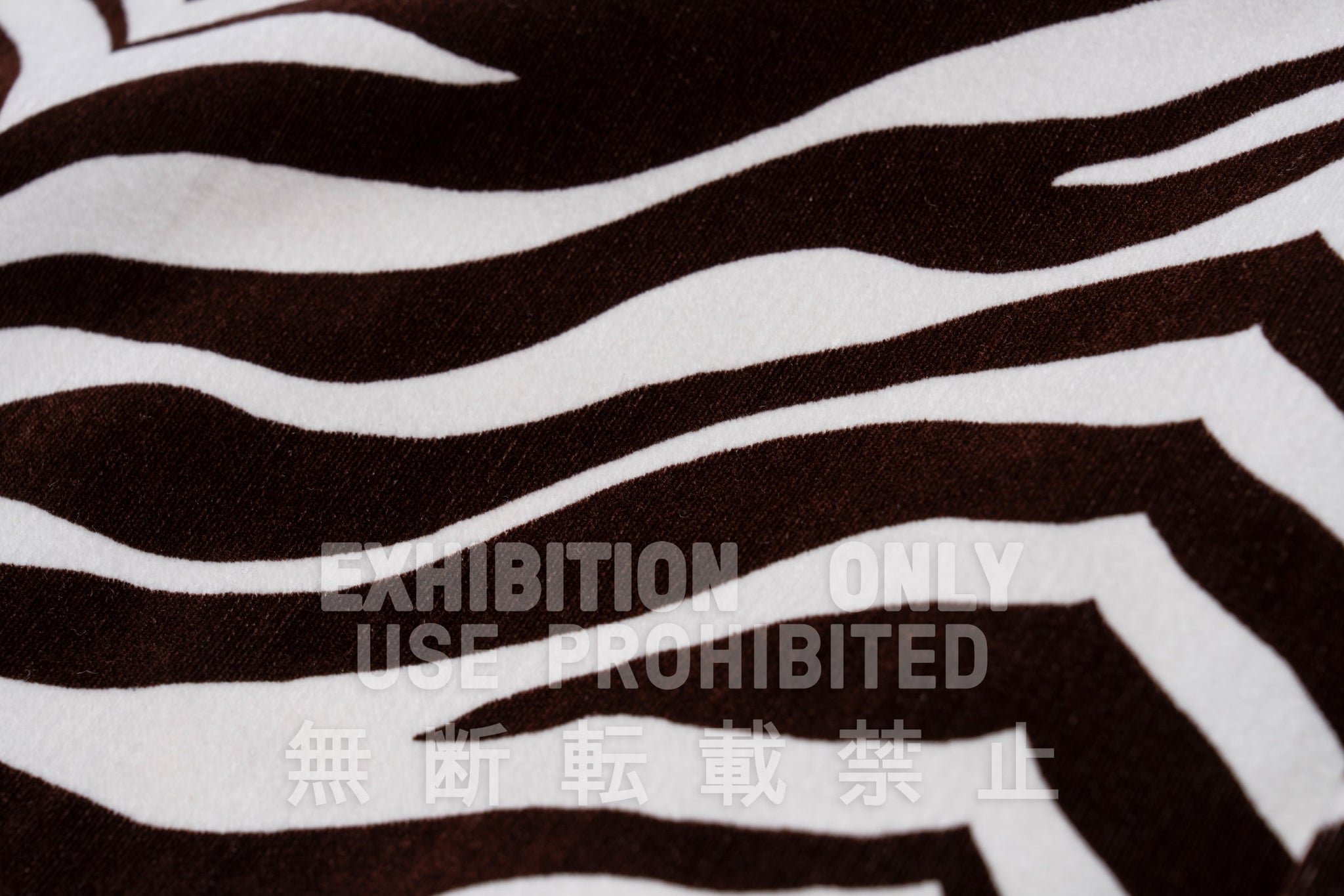 PRINTED VELOUR OPEN-COLLAR SHIRT / ZEBRA