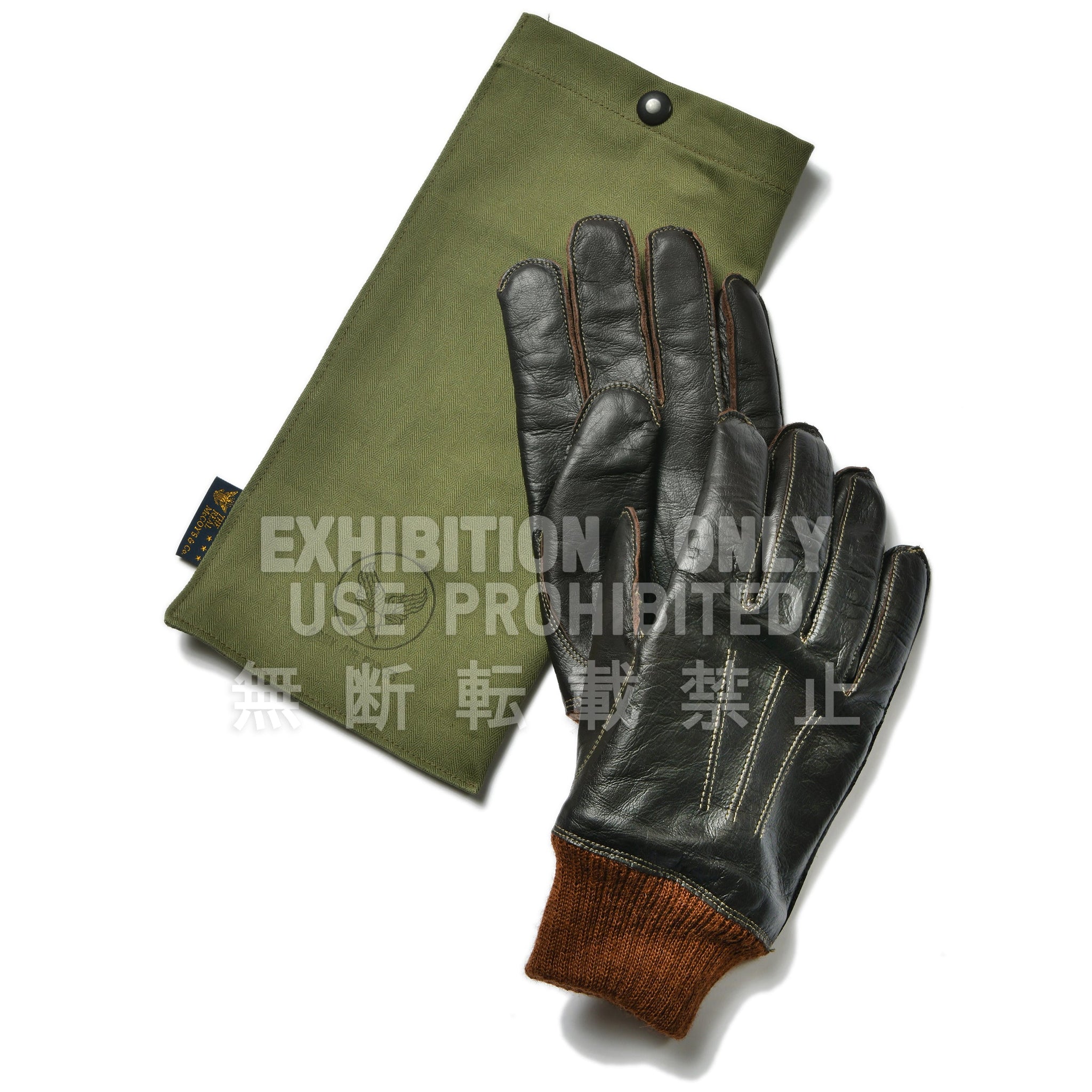 TYPE A-10 GLOVE, FLYING WINTER